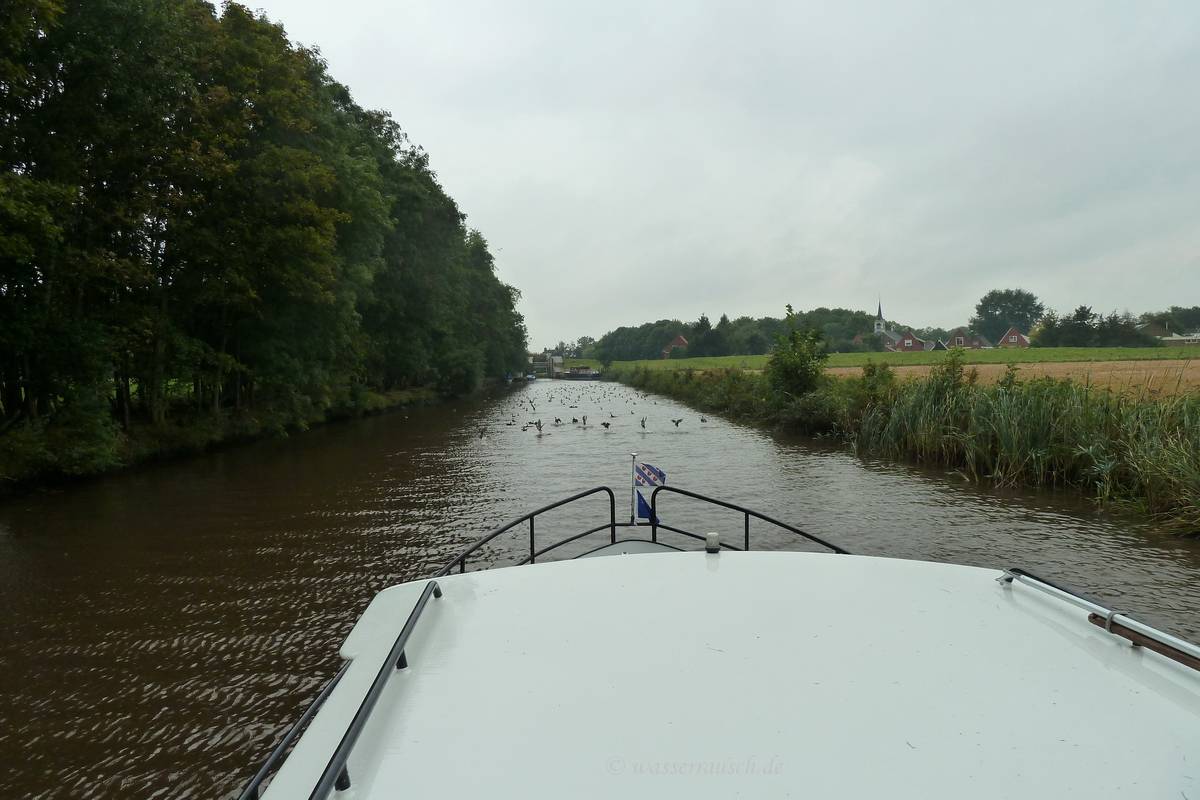 Ducks at Munnekezjil