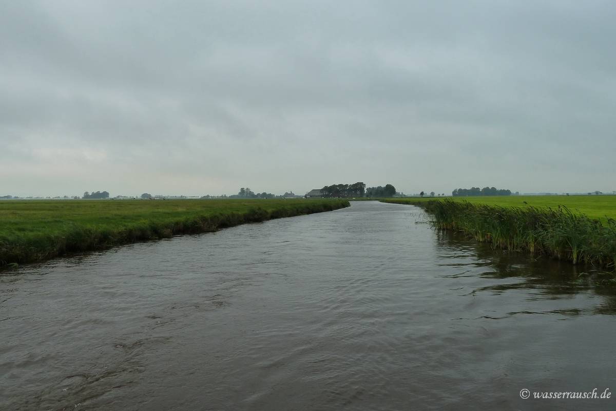 De Lauwers