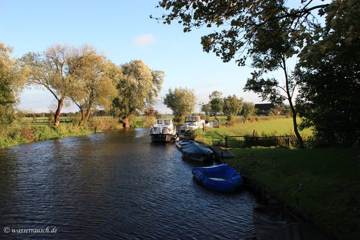 Viesvliet