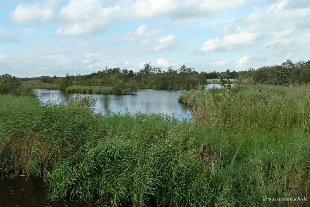 Fen waters