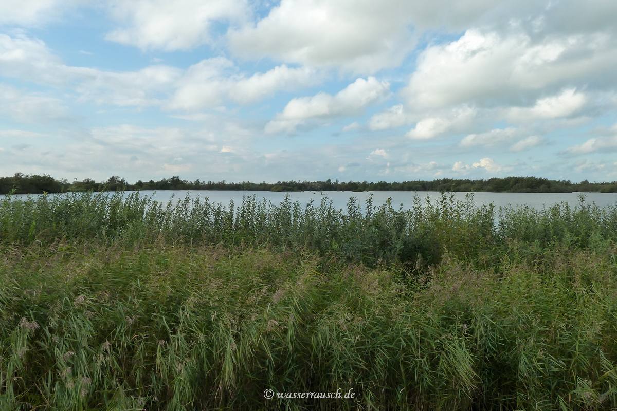 Fen waters