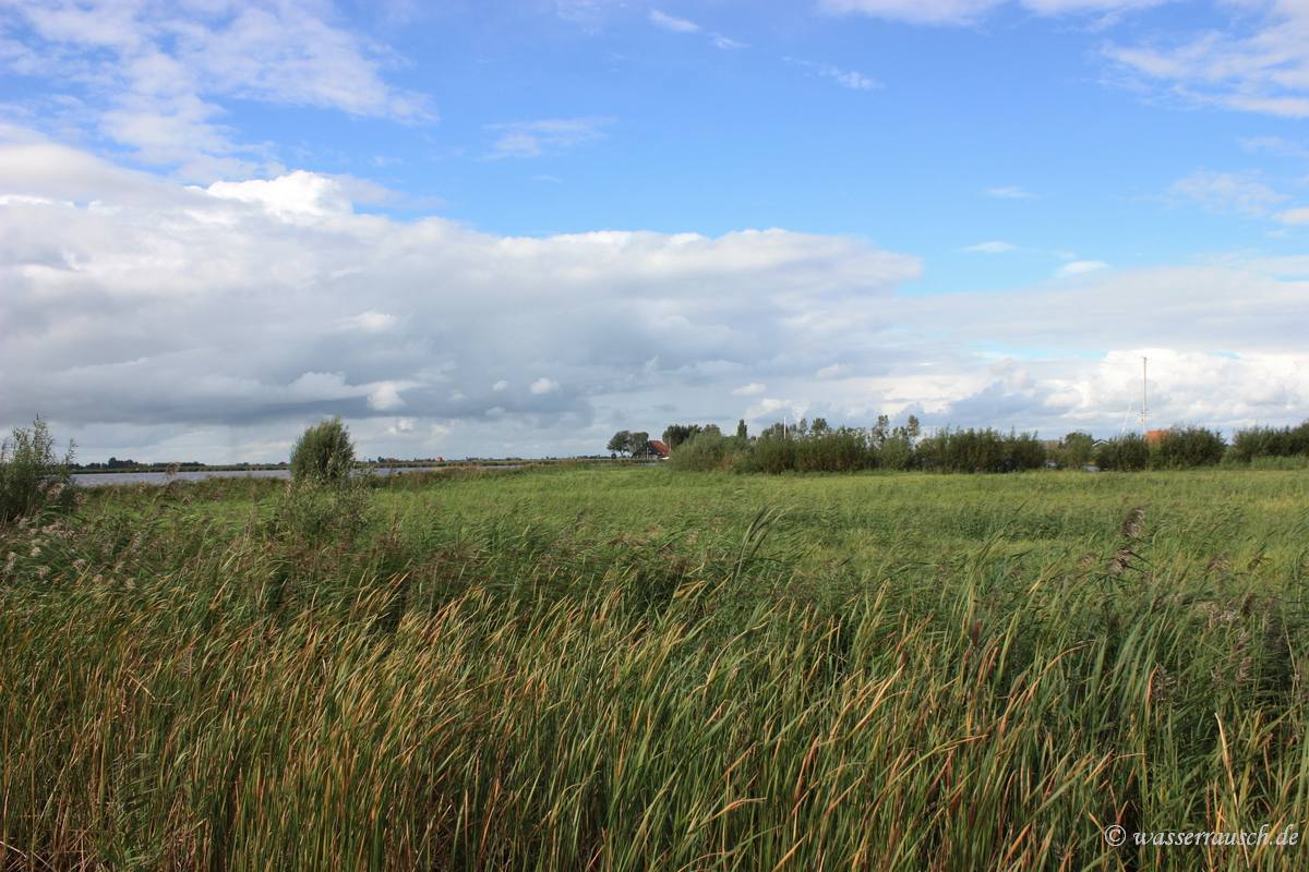 De Hemmen