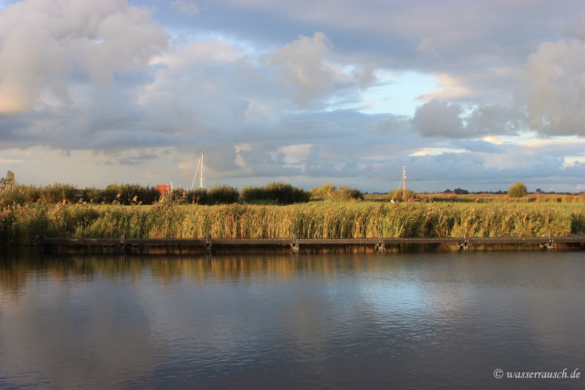 Evening light