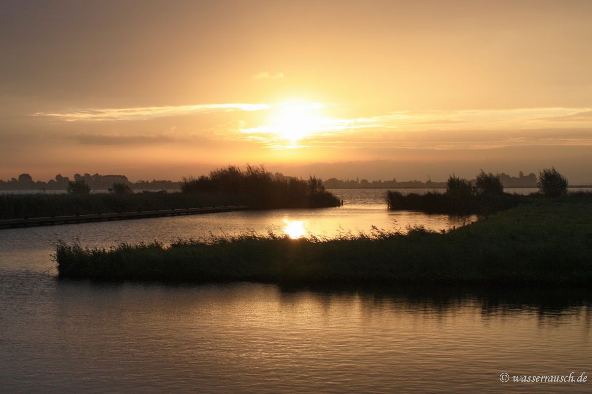 Morning sun