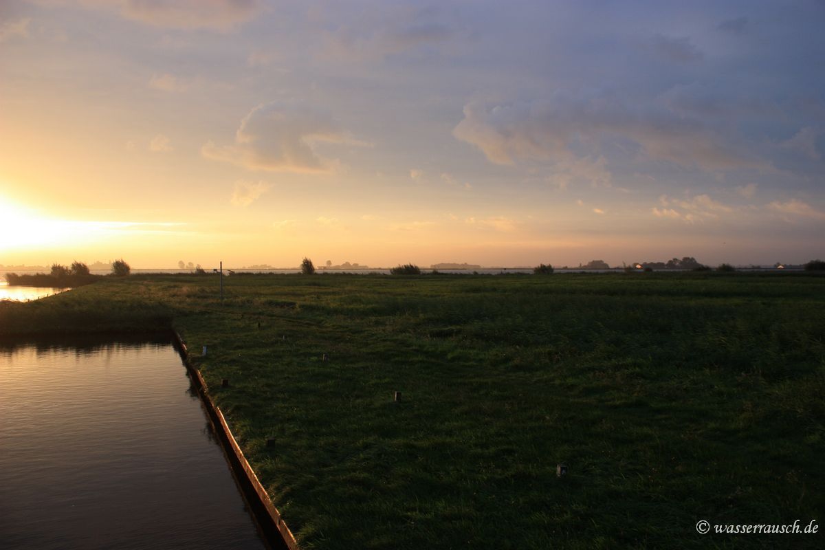 Morning light