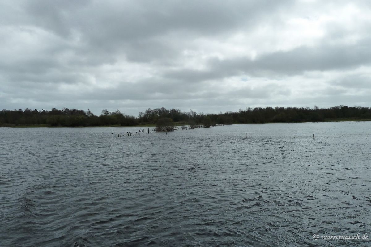 Flooded callow