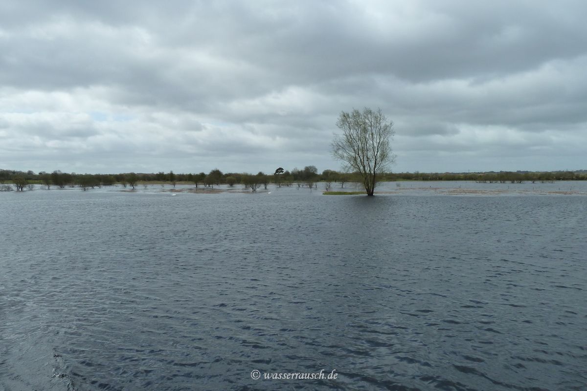 Flooded Shannon Callows