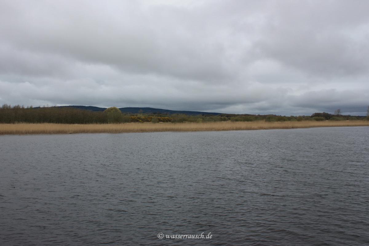Shannon above Lanesborough