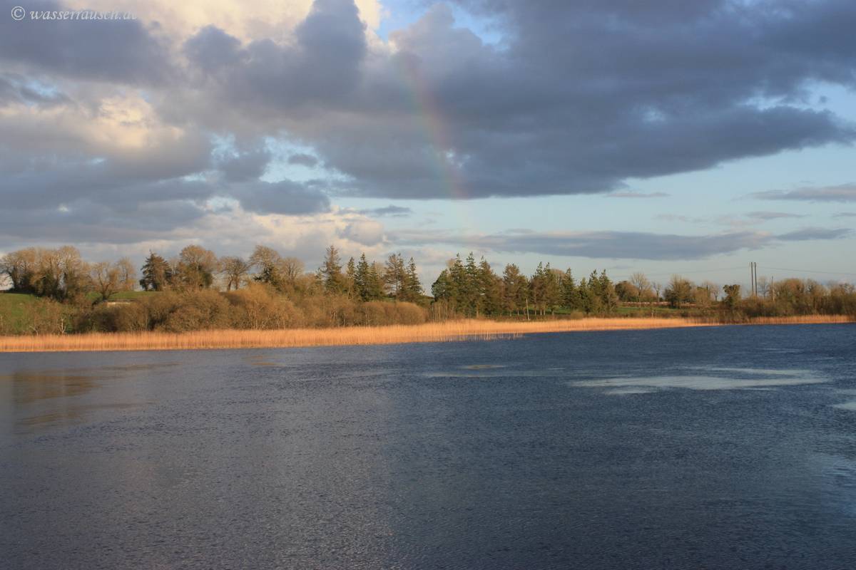 Evening light at Carrick-on-Shannon