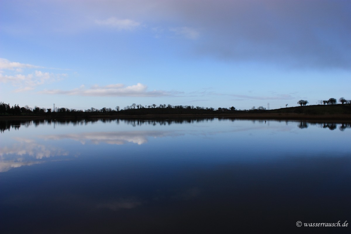 Glassy Shannon at Carrick-on-Shannon