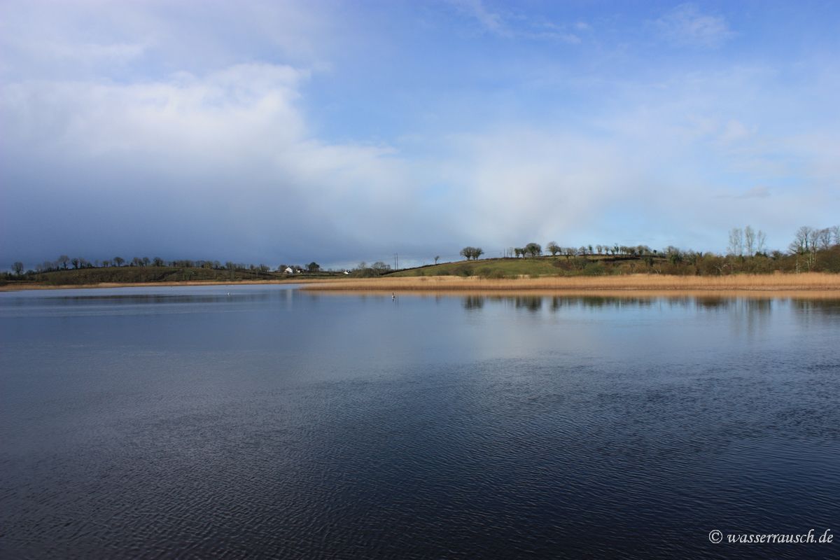 Shannon above Carrick-on-Shannon