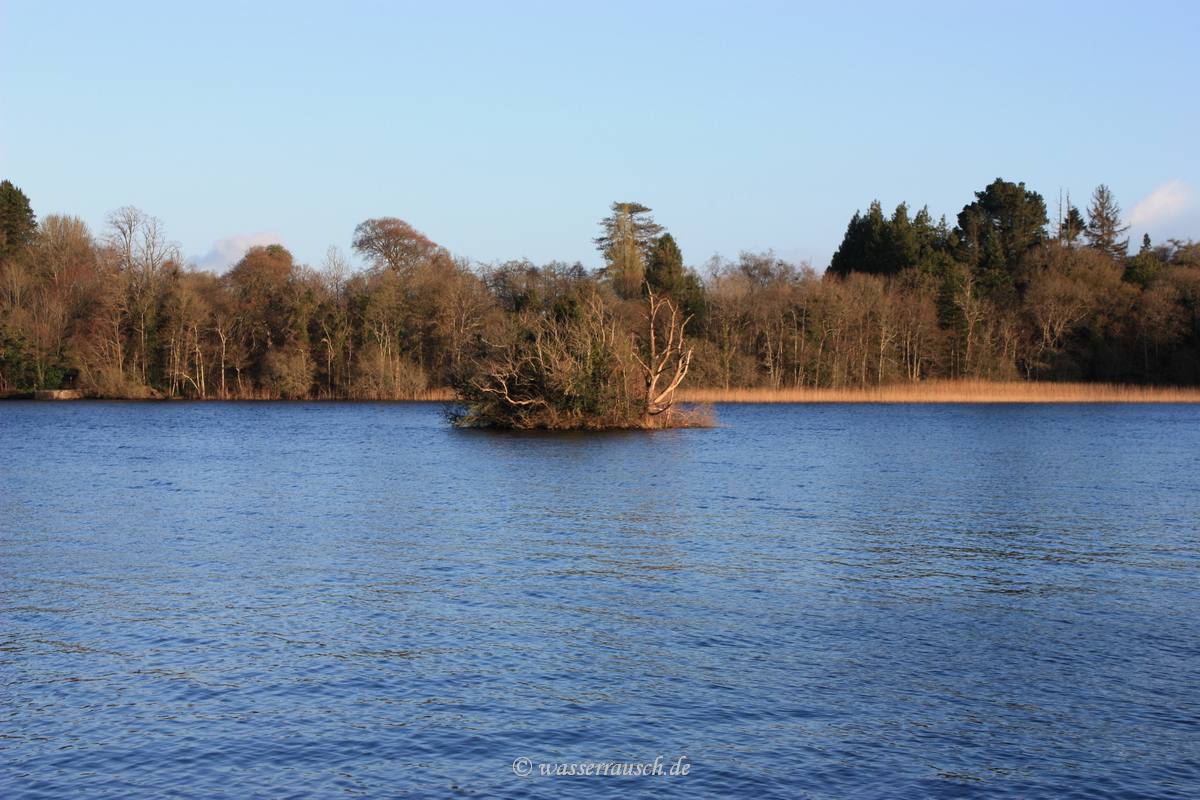 Crannog on Lough Key