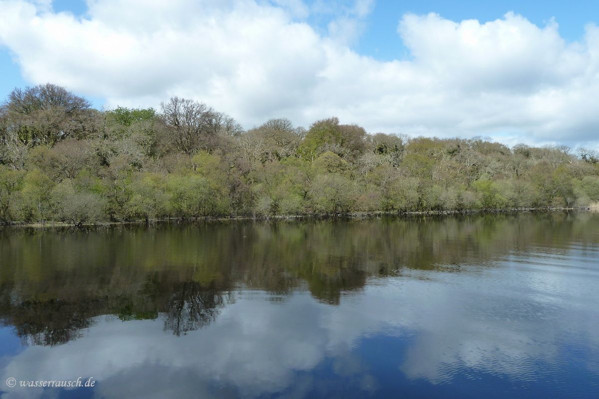 Lough Ree, Hare Island