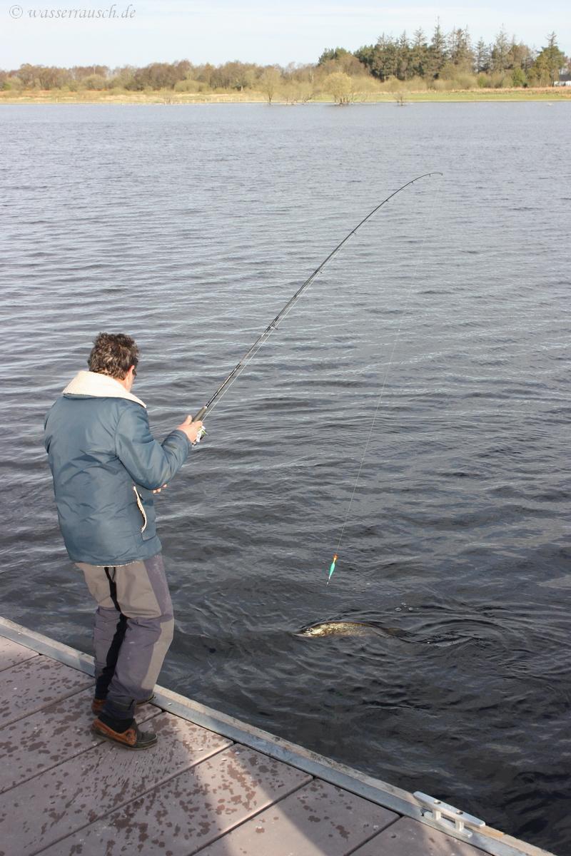 The pike is still not drilled