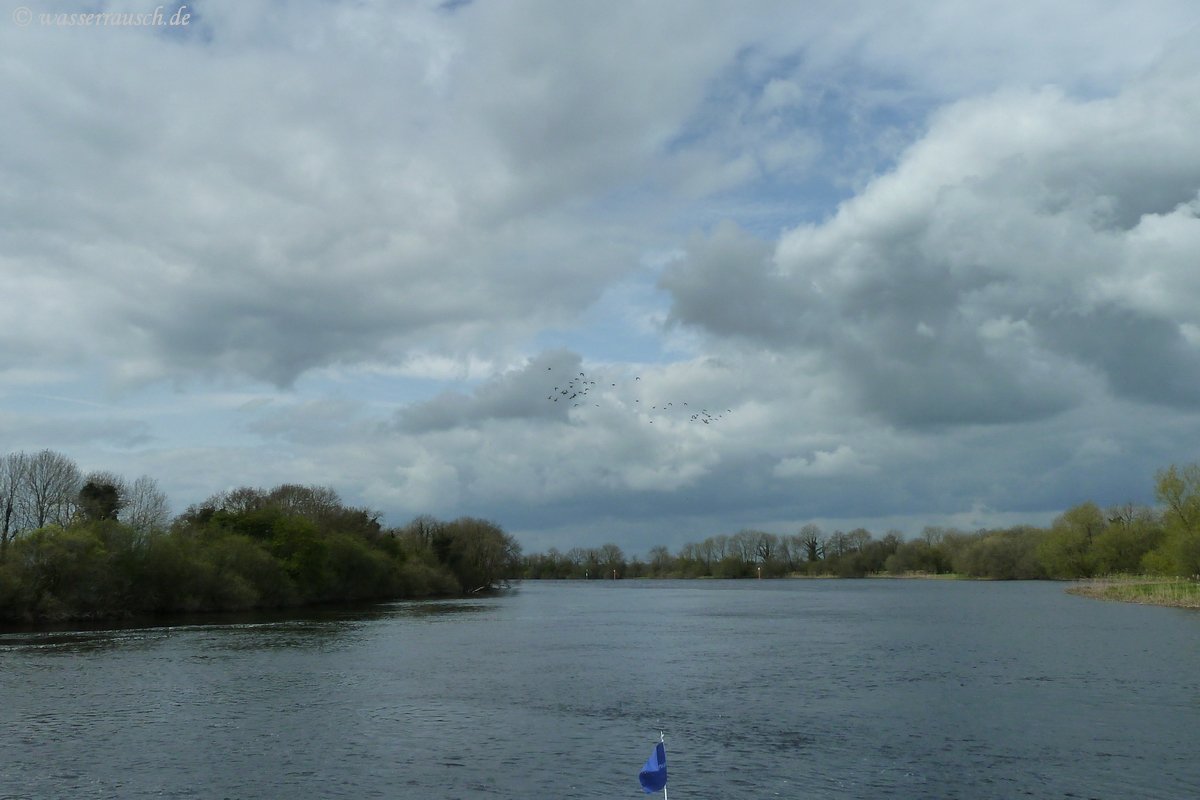 In the Shannon Callows