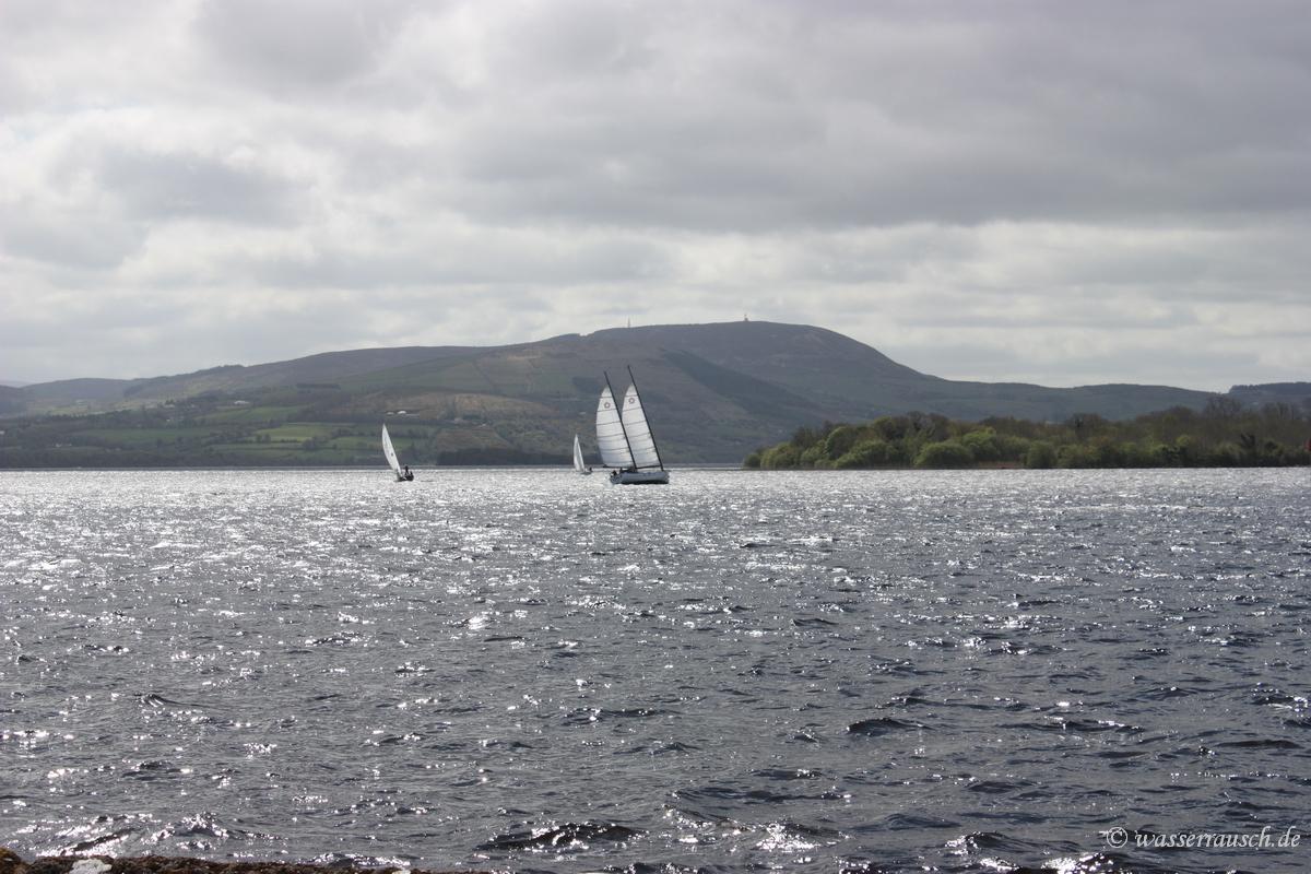 Sailling race on Lough Derg