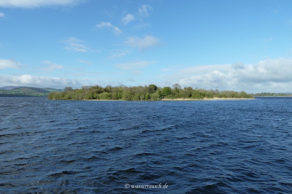 Bushy Island