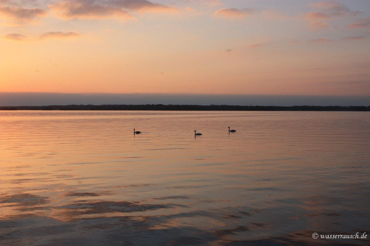 Evening light Lough Derg