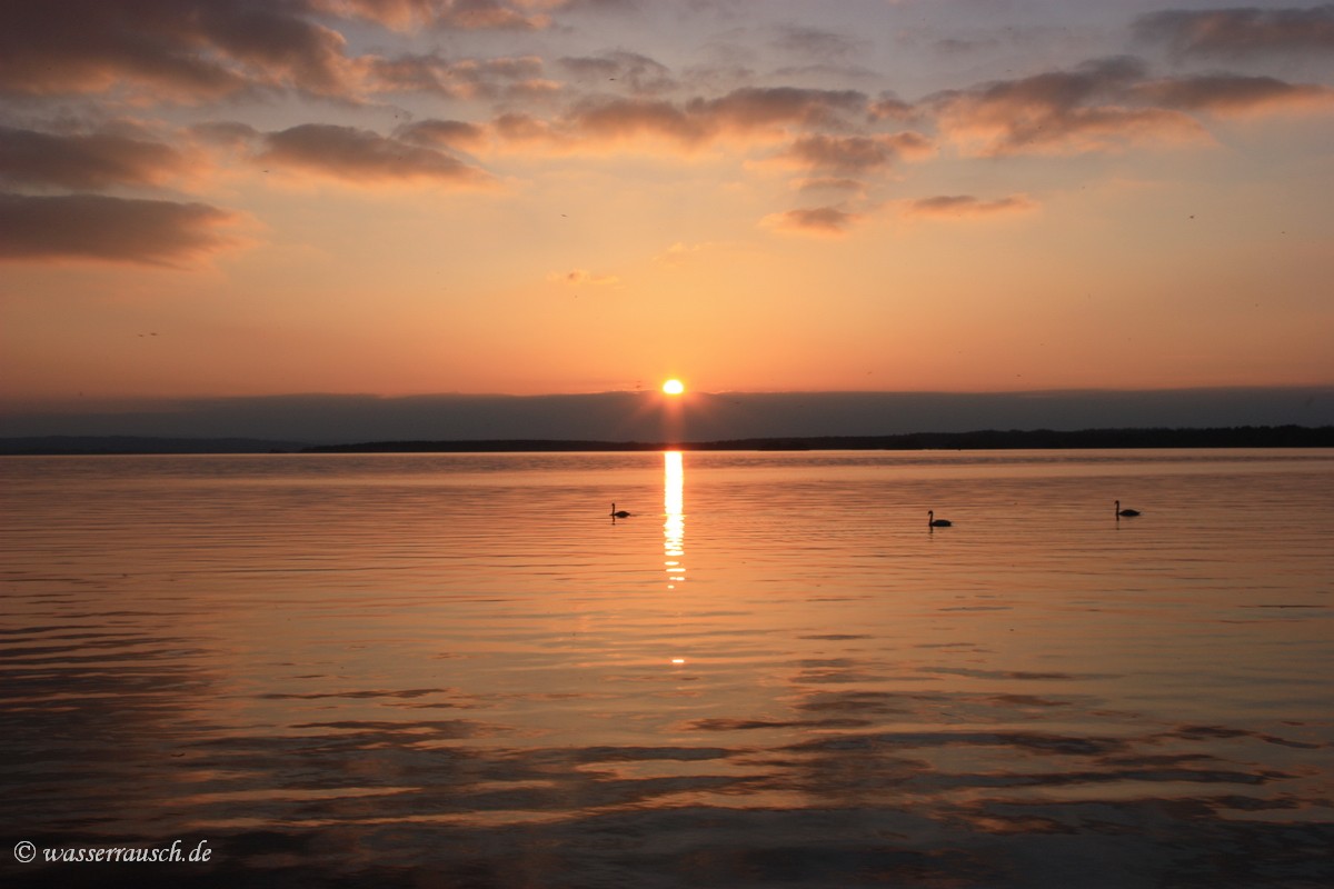 Evening light Lough Derg