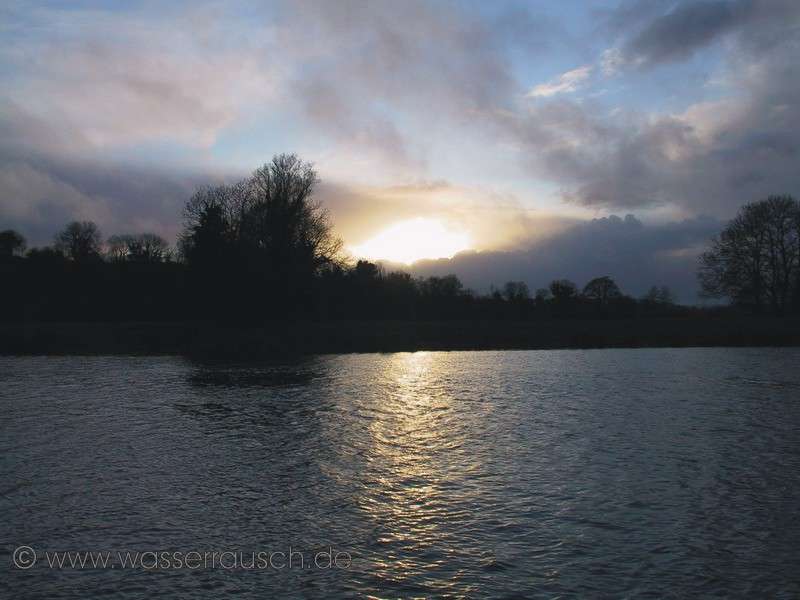Evening light