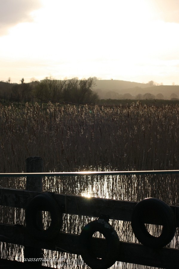 Devenish