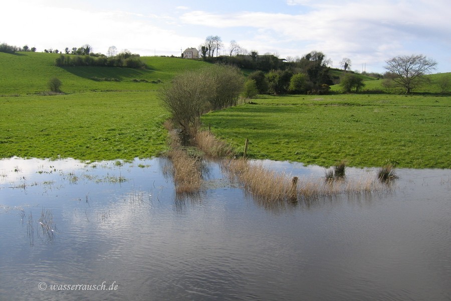 flooding