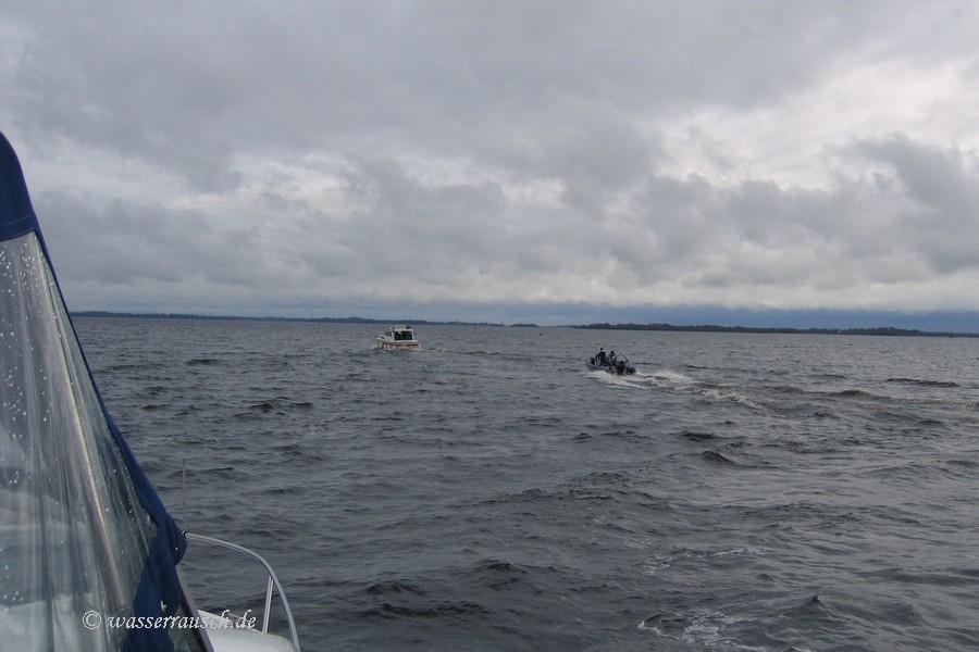 The rescued rib