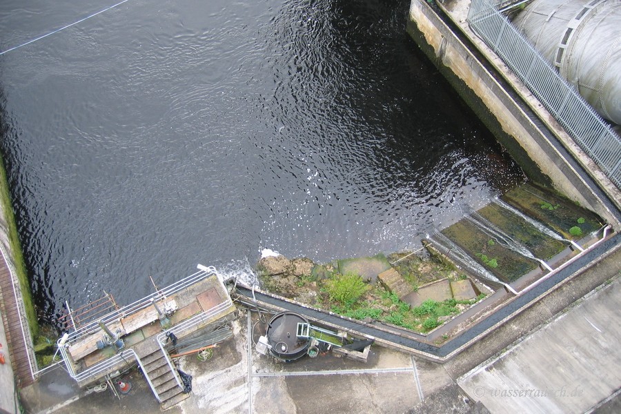 eel pass