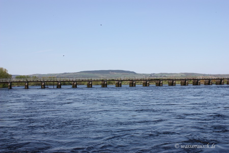 Thomond Weir and Woodcock Hill