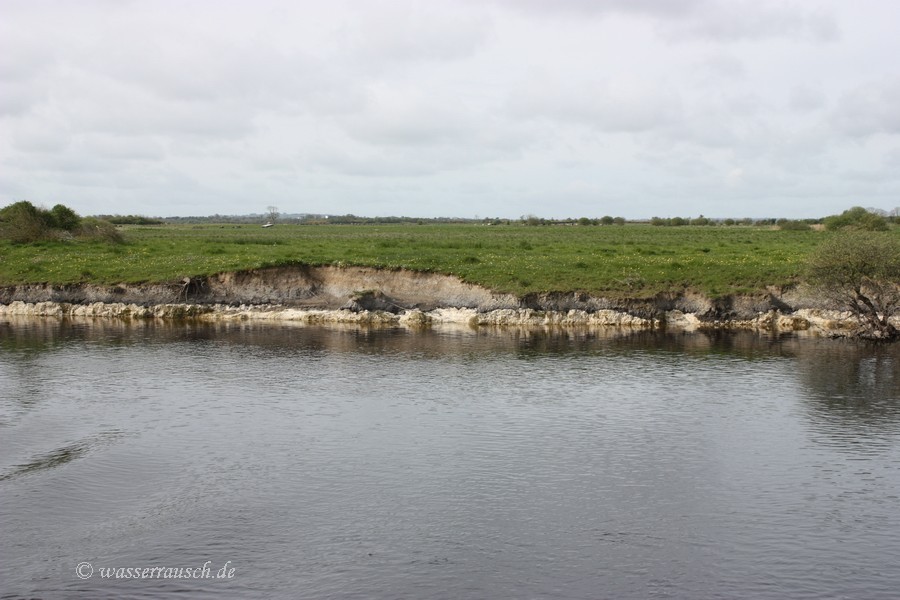 Shannon bank