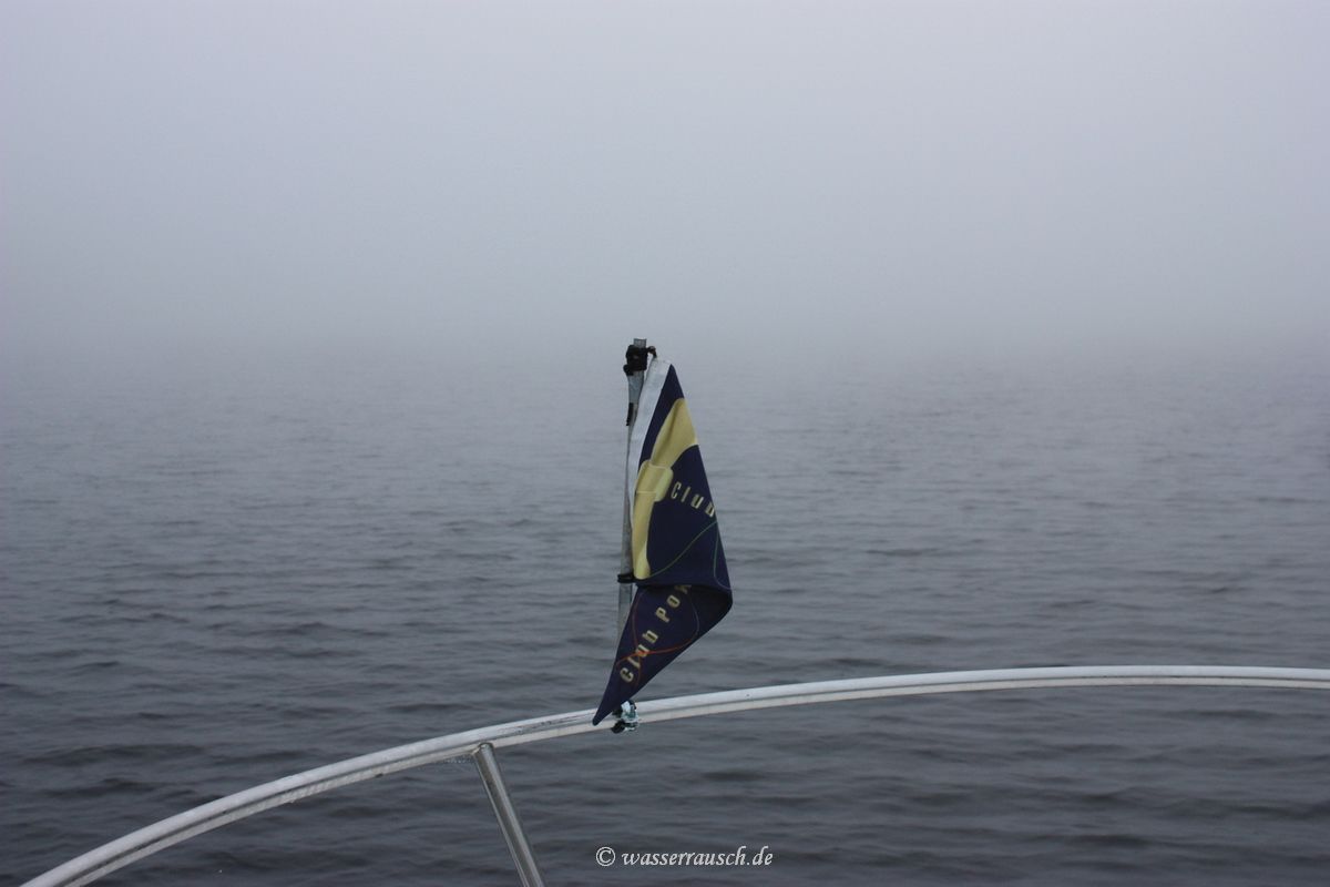 Fog