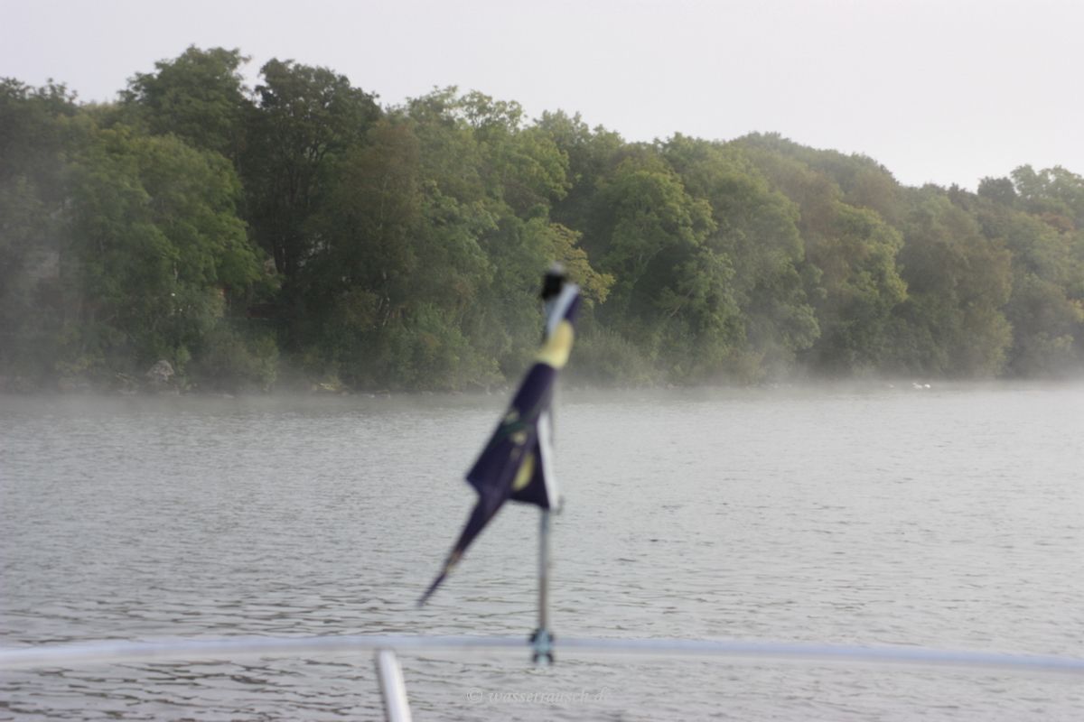 Fog