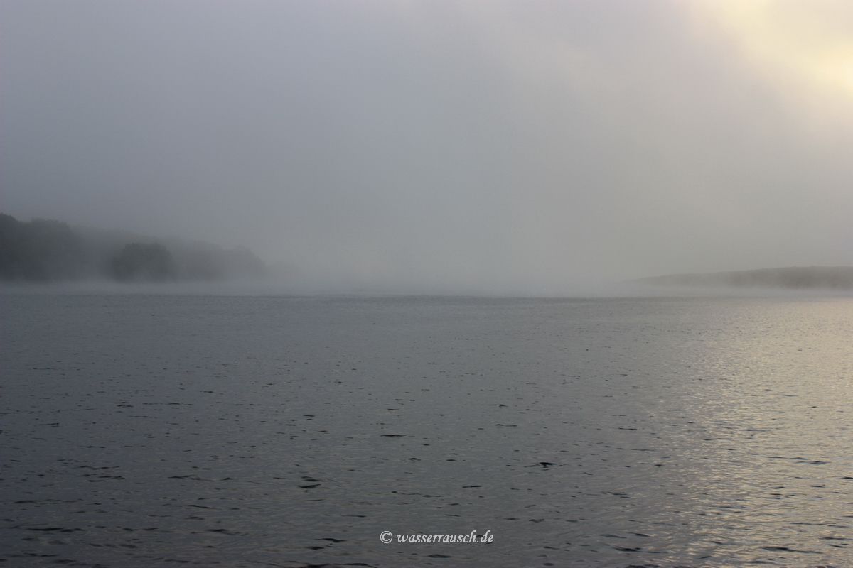 Fog