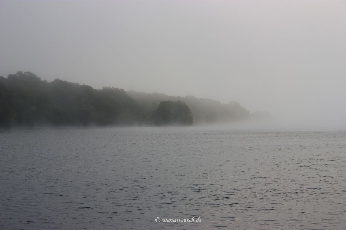 Fog