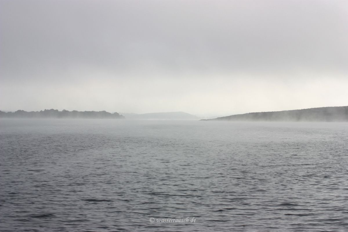 Fog