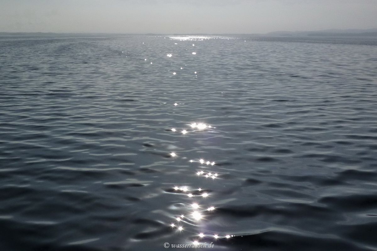 Sun sparkels