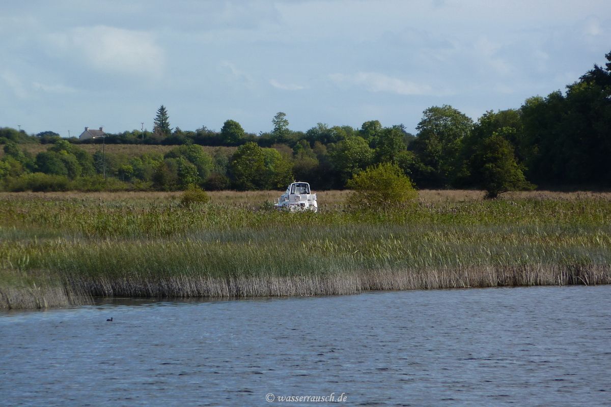 Boat in the reeds
