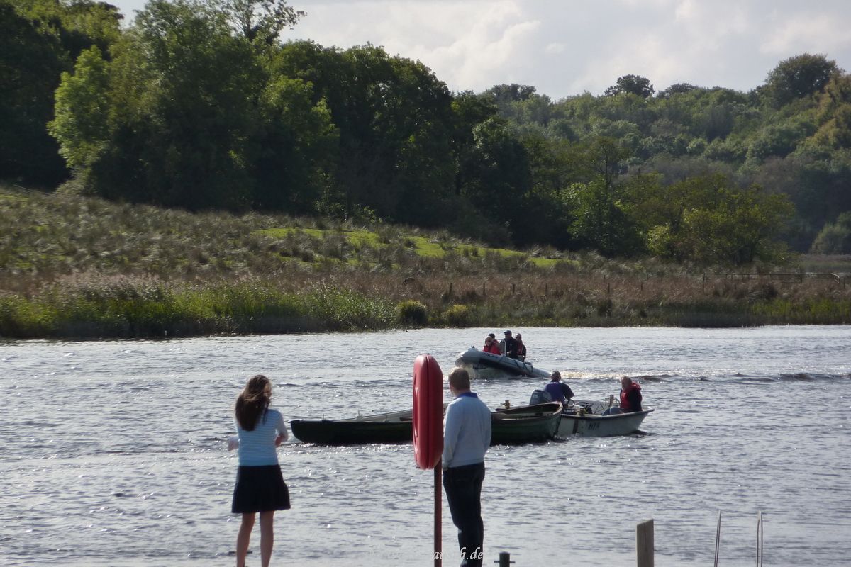 Rib arriving