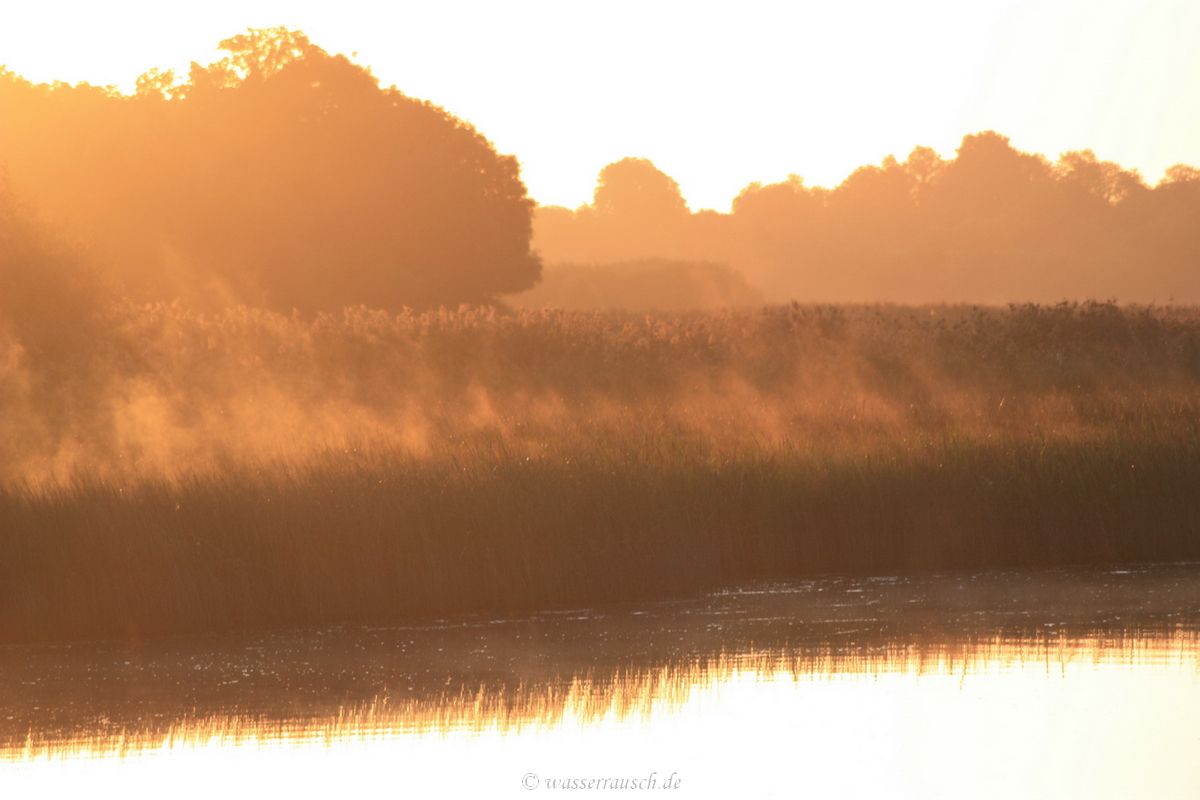 Morning light at Crom Jetty
