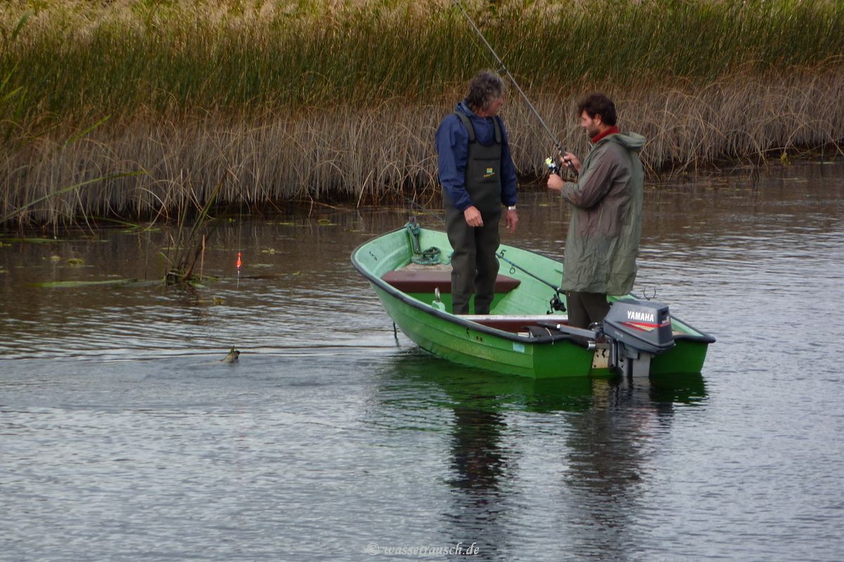 Catching a small pike