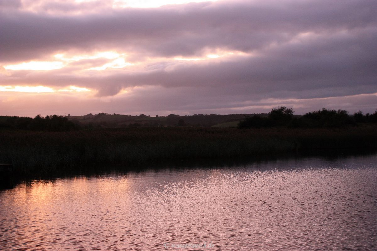 Devenish