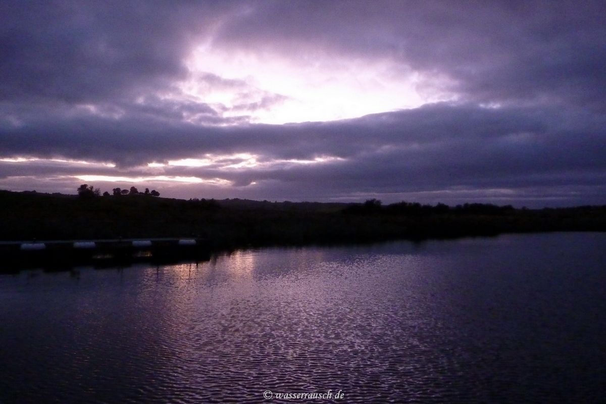 Devenish