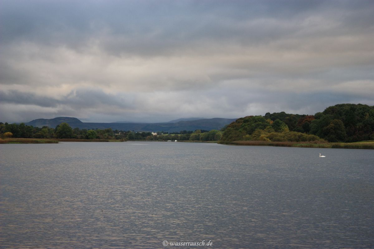 Rowing course