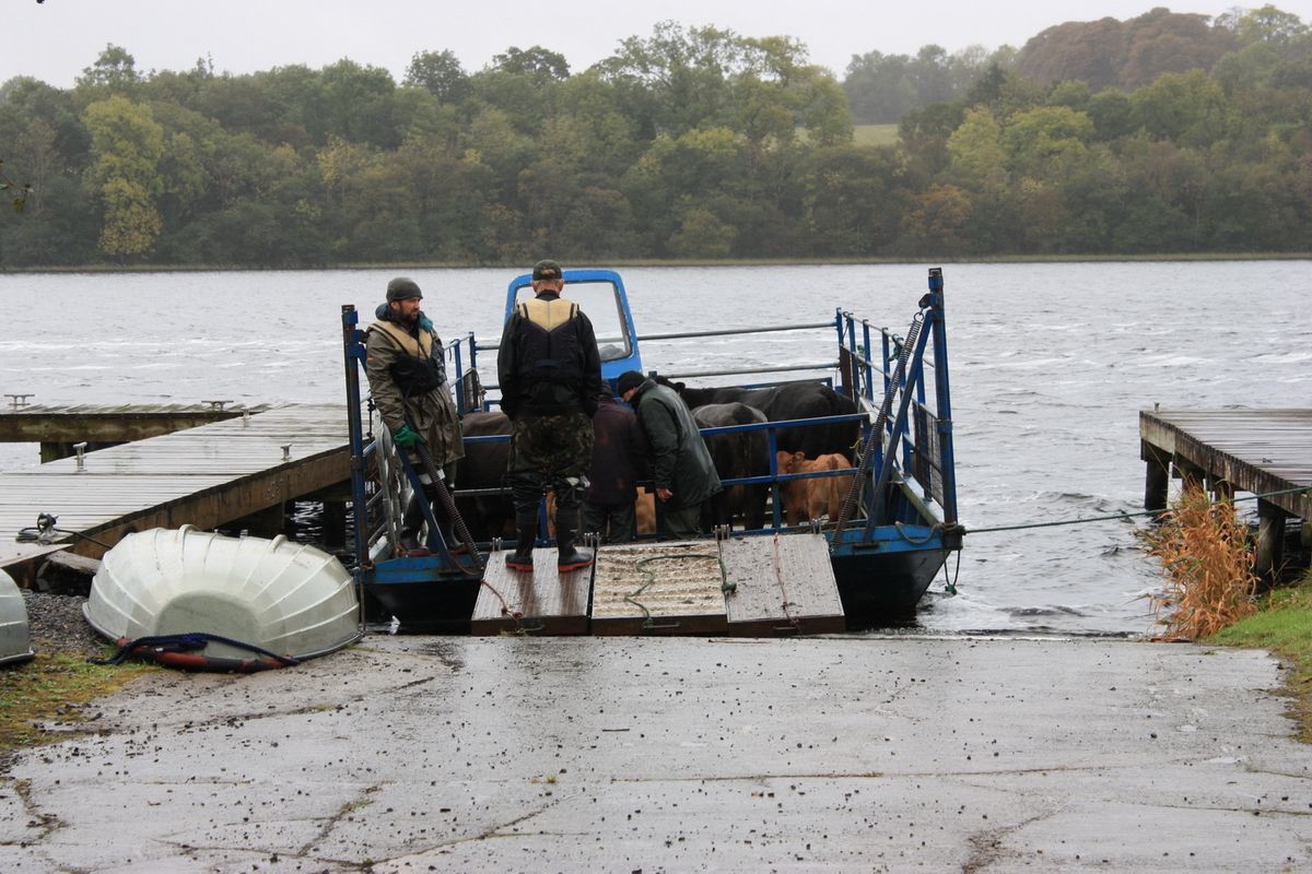 Cattle ferry of RSPB